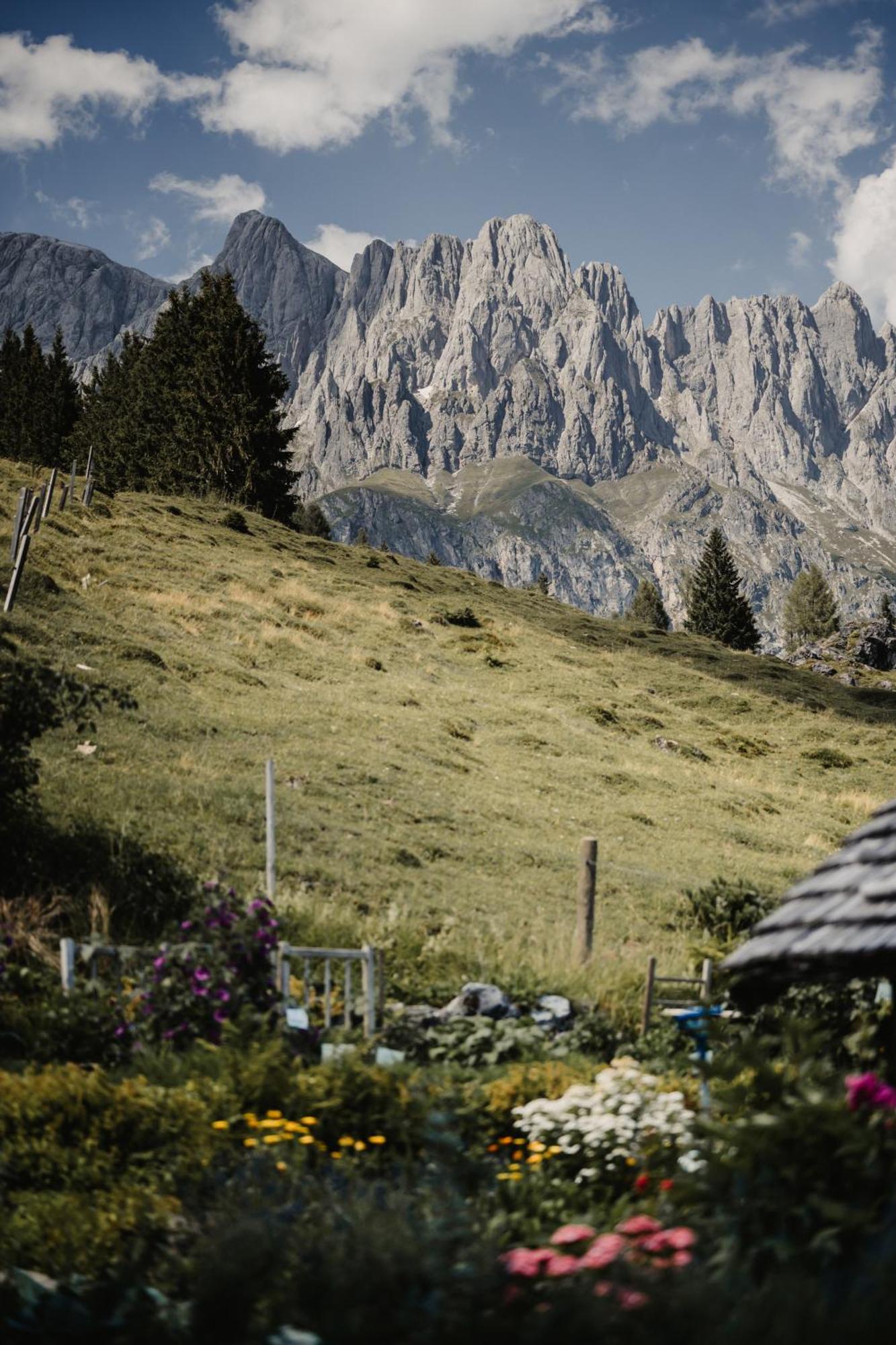 Alpengasthof-Hotel Kopphuette Muhlbach Am Hochkonig Ngoại thất bức ảnh
